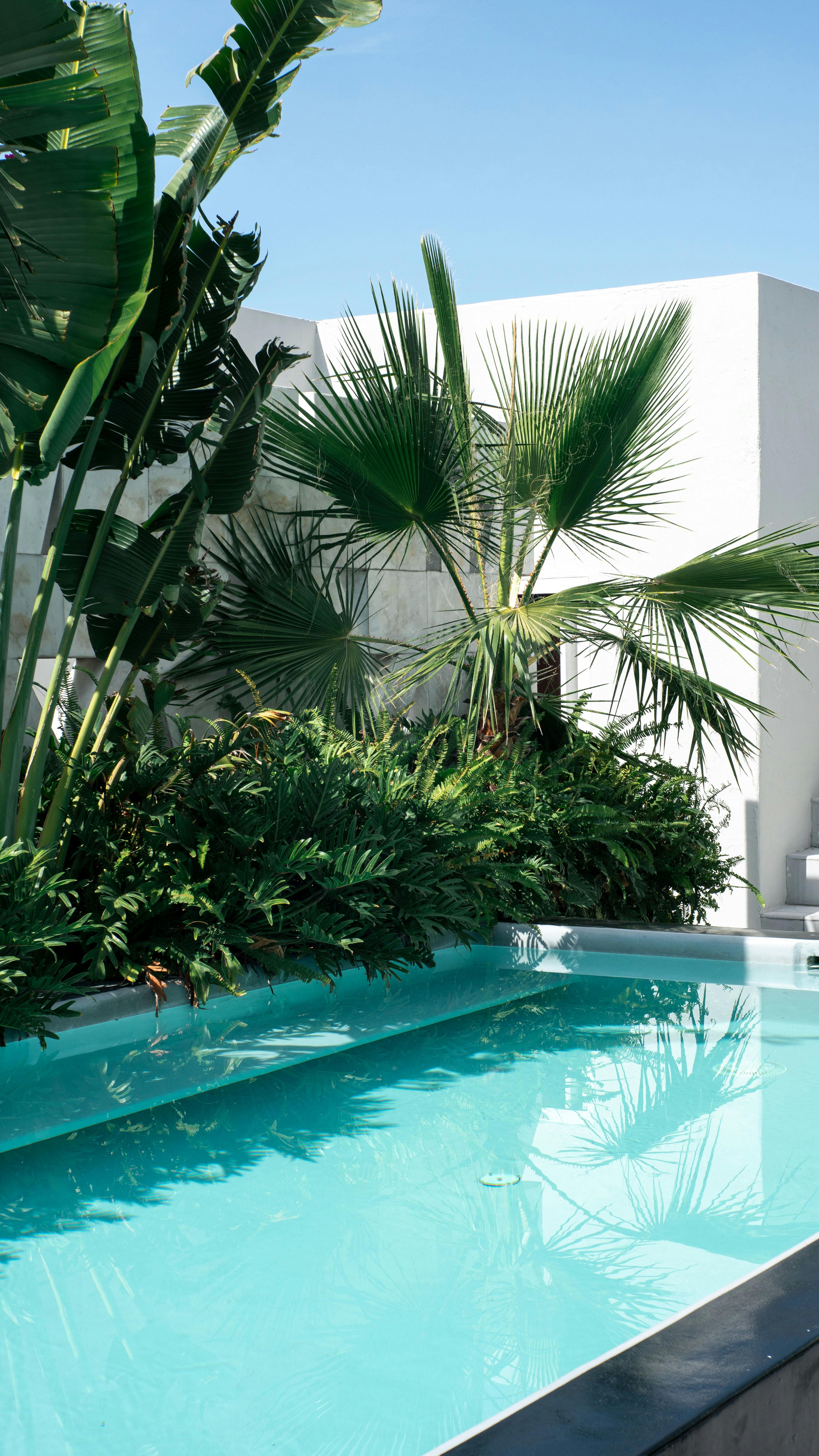 Piscine et massif entretenus par jardinier privé Hush Garden